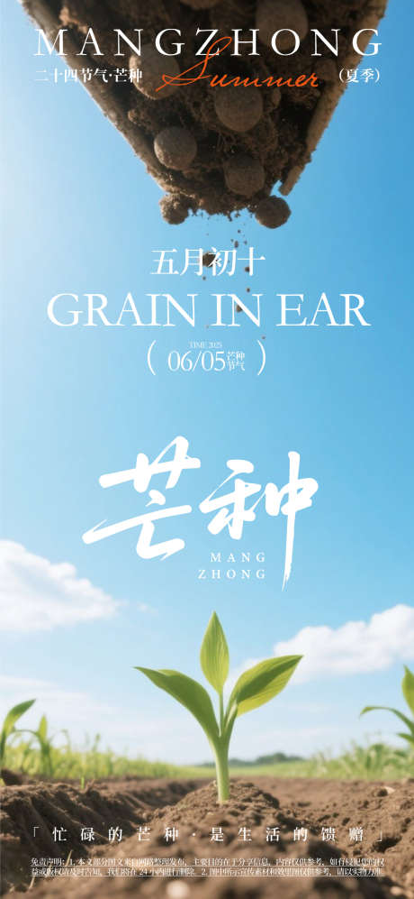 芒种节气海报_源文件下载_AI格式_1080X2340像素-海报,芒种,生机-作品编号:2025060508564903-志设-zs9.com