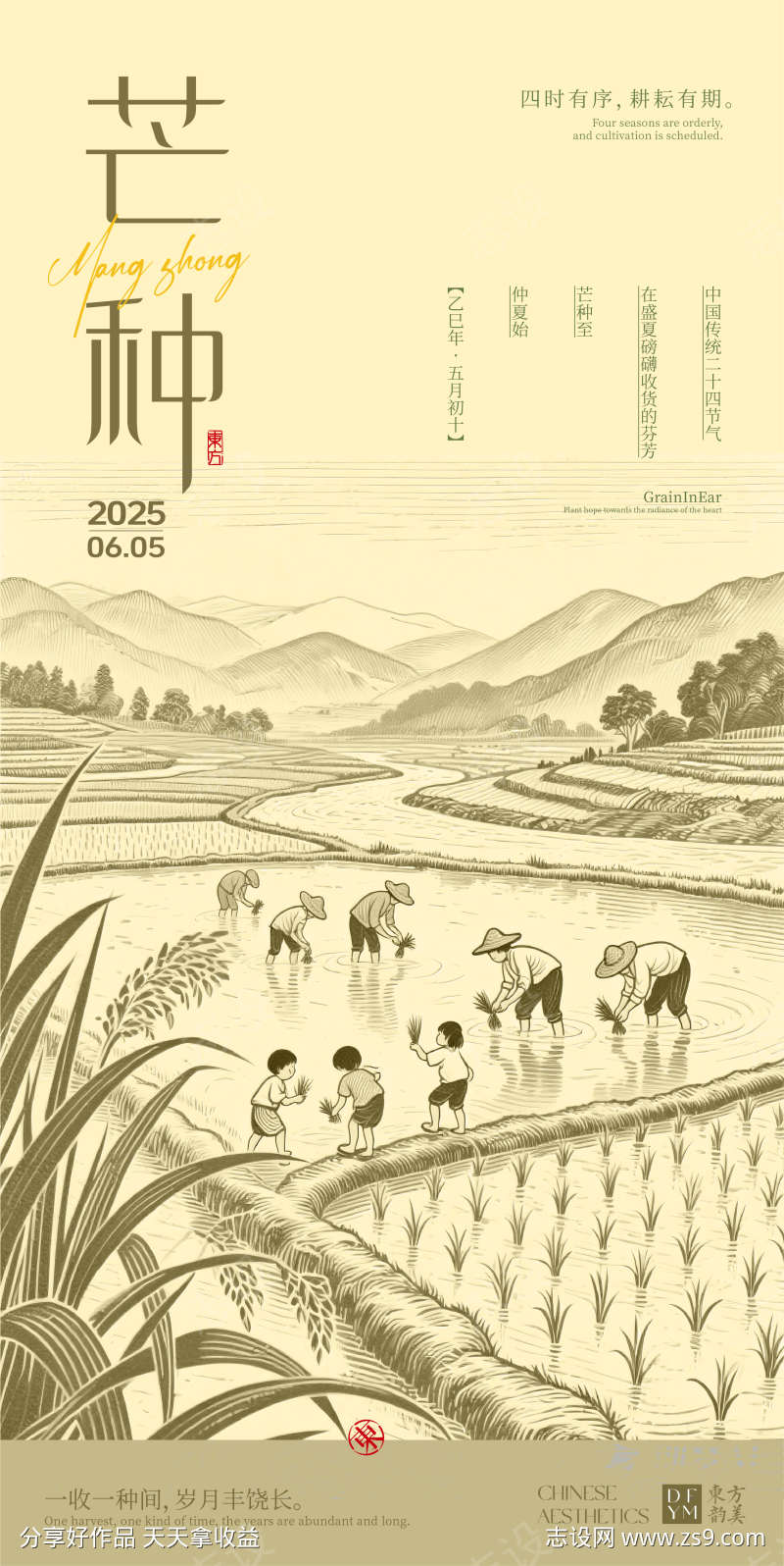 芒种海报设计