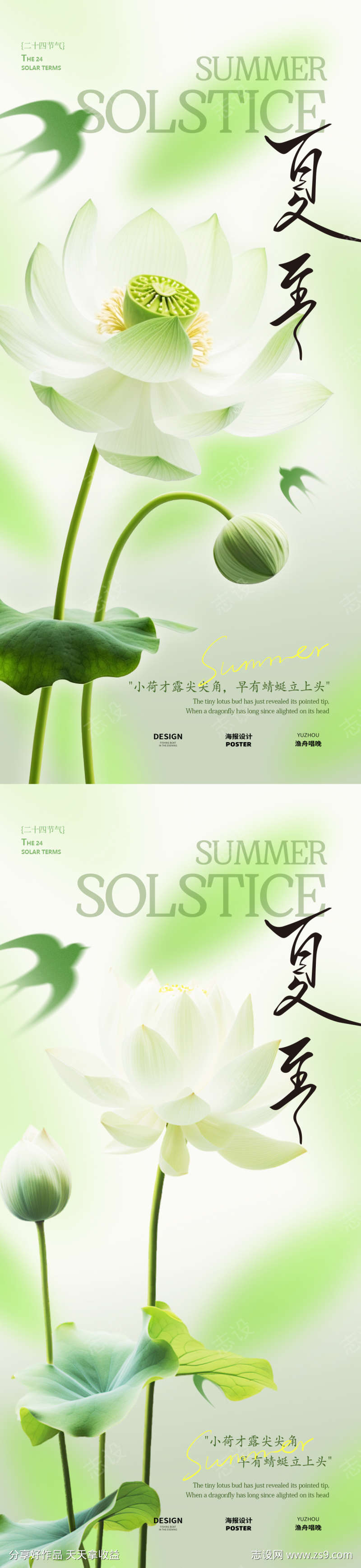 夏至荷花节气海报设计