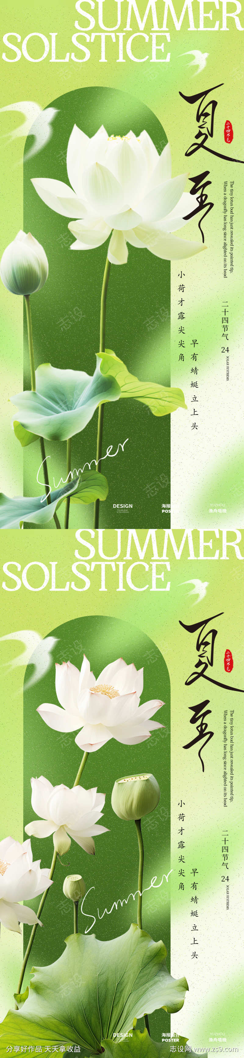 夏至荷花节气海报设计