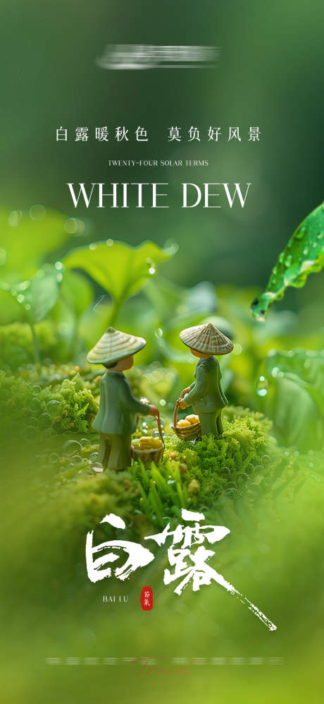 白露节气海报_源文件下载_PSD格式_1200X2601像素-微距摄影,秋季,节气-作品编号:2025060709475823-志设-zs9.com