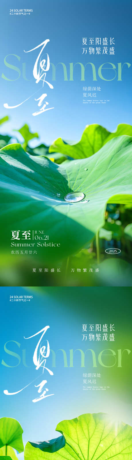 夏至朋友圈海报_源文件下载_PSD格式_1080X4680像素-荷花,荷叶,节气-作品编号:2025060610203280-志设-zs9.com