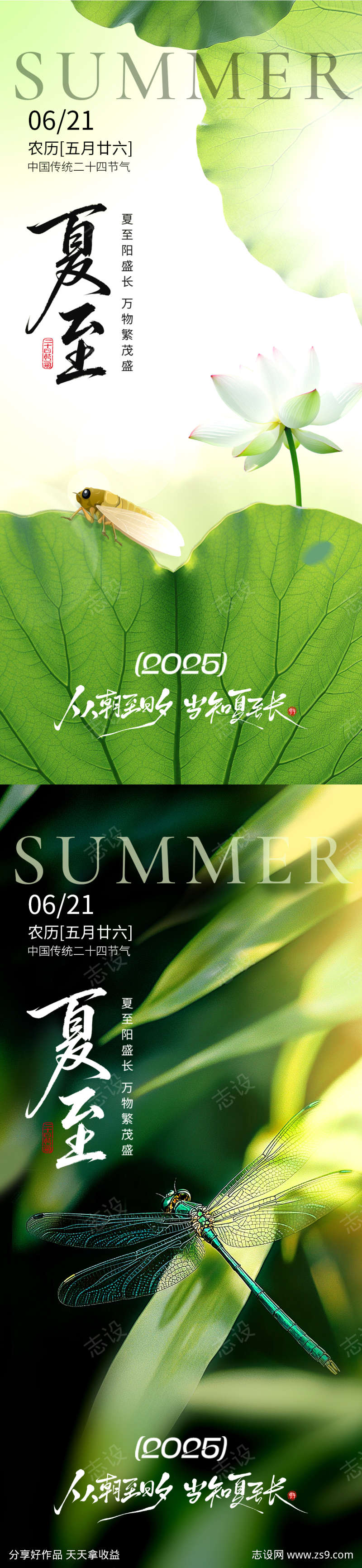 夏至节气海报