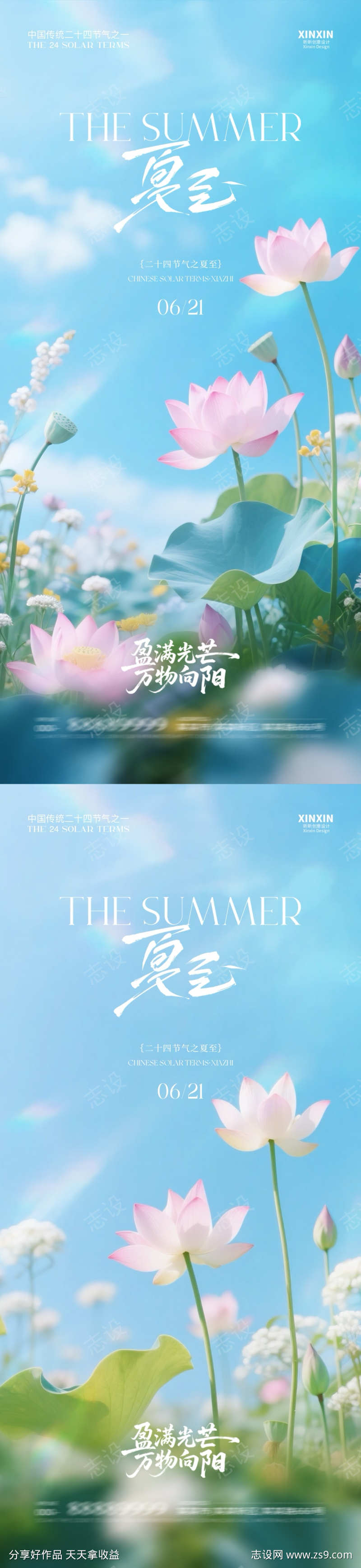 夏至清新荷花海报