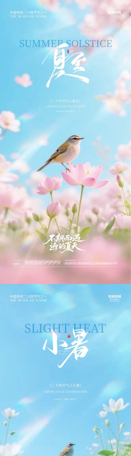 夏至小暑海报_源文件下载_PSD格式_1080X4680像素-荷花,节气,海报-作品编号:2025060813335368-志设-zs9.com