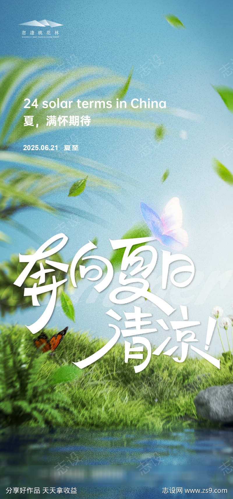 夏至节气海报