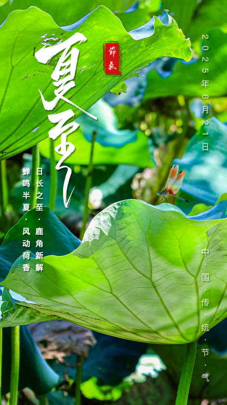 夏日清新夏至24二十四节气启动页企业宣传_源文件下载_PSD格式_900X1601像素-自然,实拍,蜻蜓-作品编号:2025060916572470-志设-zs9.com