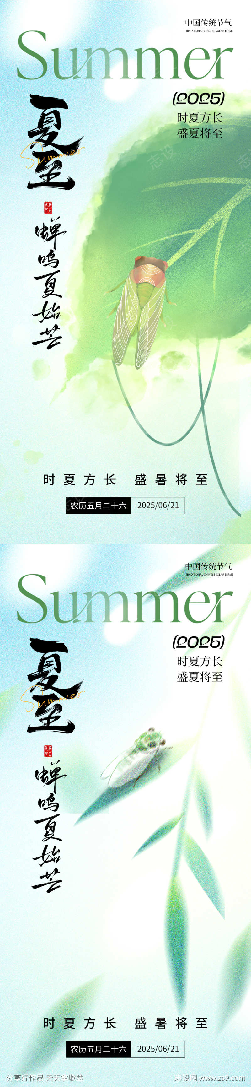 夏至节气蝉鸣