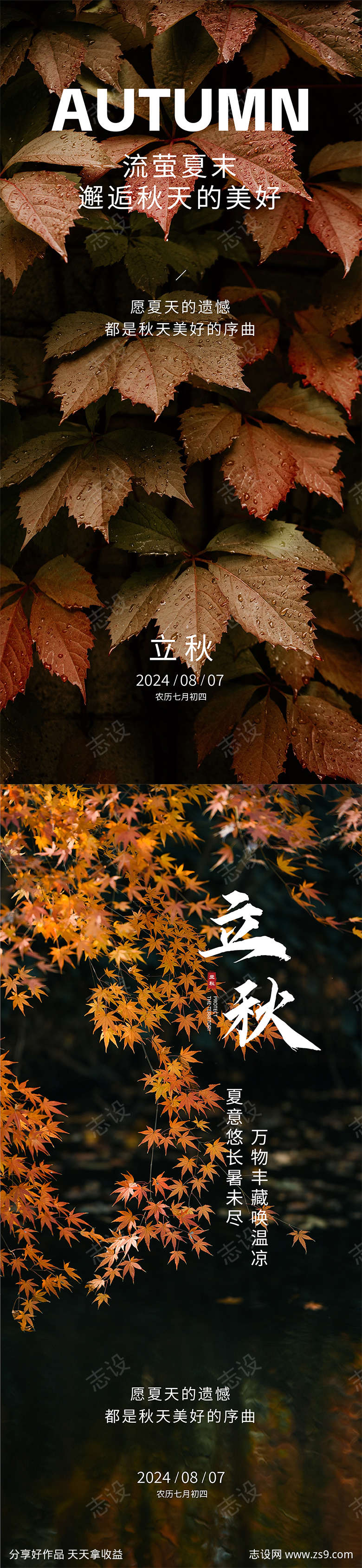 立秋节气海报