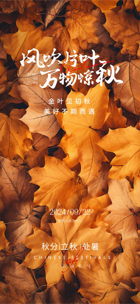 秋分节气海报_源文件下载_AI,PSD格式_2250X4872像素-简约,高端,节气-作品编号:2025061113539215-志设-zs9.com