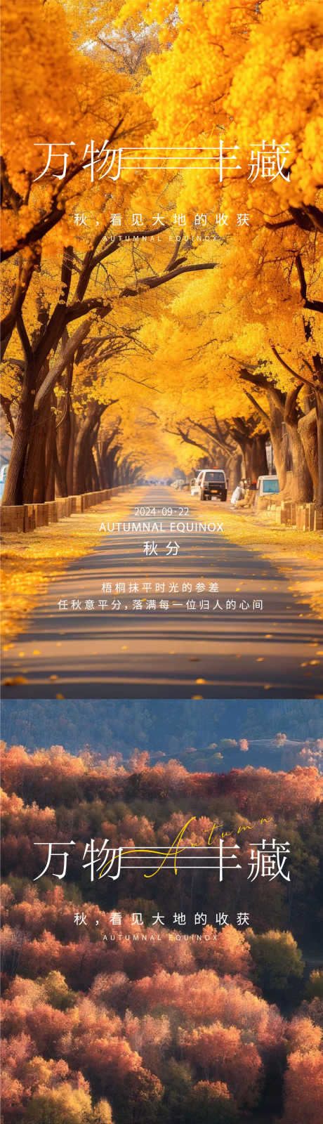 秋分节气海报_源文件下载_AI,PSD格式_2251X9743像素-简约,橙色,节气-作品编号:2025061113581172-志设-zs9.com