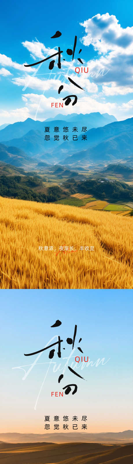 秋分节气海报_源文件下载_AI,PSD格式_2250X9746像素-稻田,丰收,节气-作品编号:2025061113599307-志设