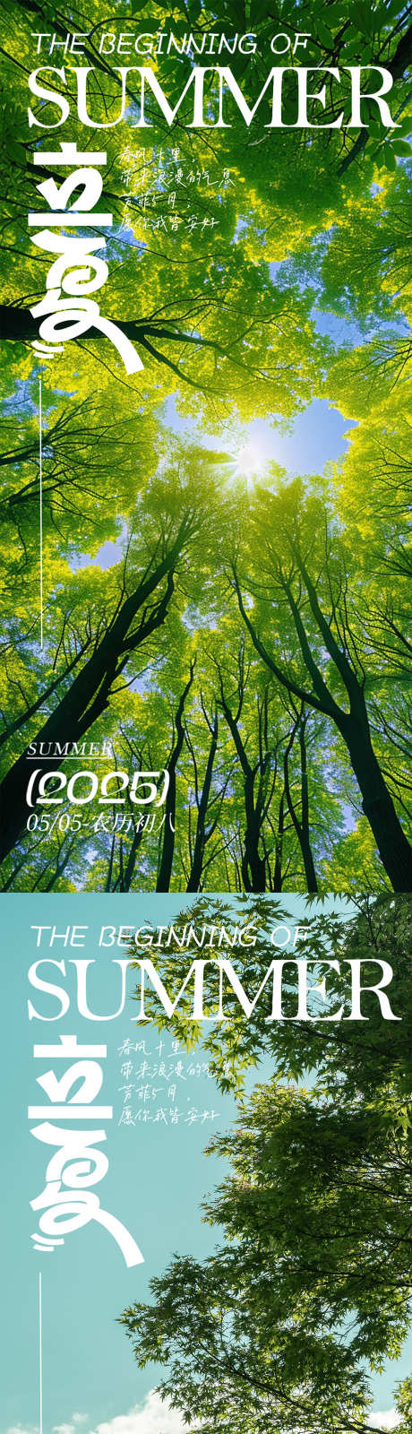 立夏节气海报_源文件下载_PSD格式_1080X4676像素-简约,阳光,节气-作品编号:2025061113485298-志设-zs9.com
