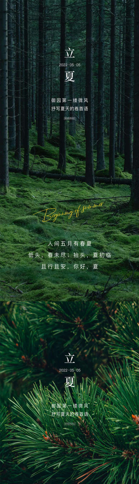 立夏节气海报_源文件下载_PSD格式_1080X4676像素-绿色,风景,意境-作品编号:2025061113411876-志设-zs9.com