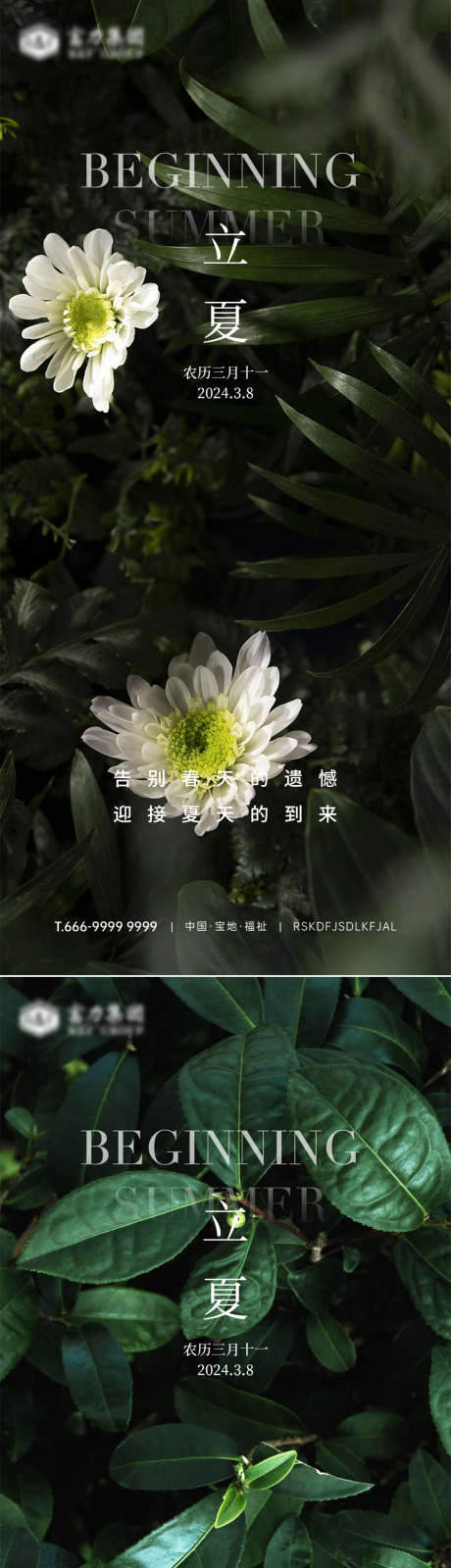 立夏节气海报_源文件下载_PSD格式_1080X4676像素-简约,鲜花,节气-作品编号:2025061113417931-志设-zs9.com