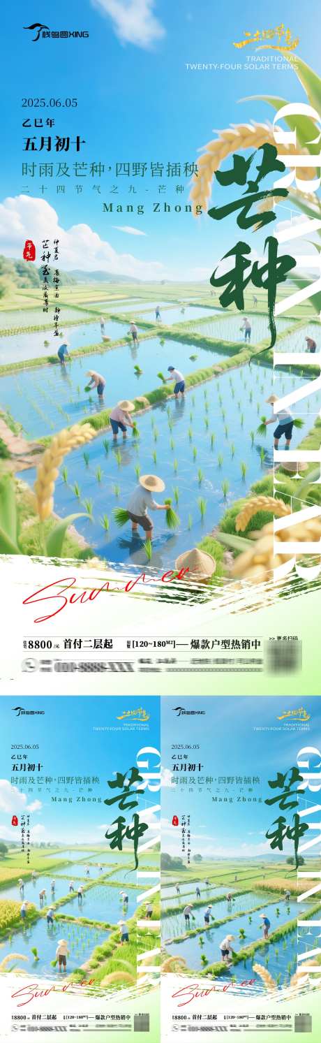 二十四节气芒种海报_源文件下载_PSD格式_1242X4031像素-插秧,笔触,芒种-作品编号:2025061116165075-志设-zs9.com