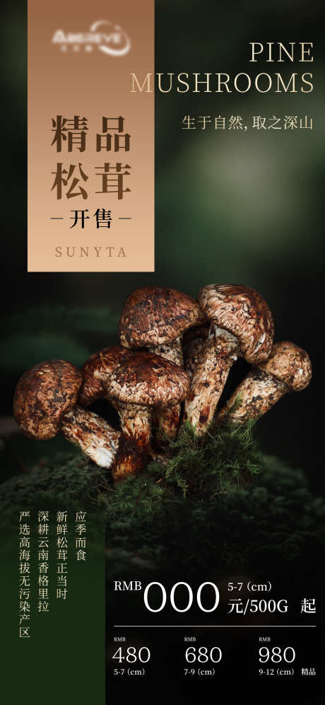 松茸蘑菇海报_源文件下载_PSD格式_3189X6909像素-礼物,食材,餐饮-作品编号:2025061113595557-志设-zs9.com