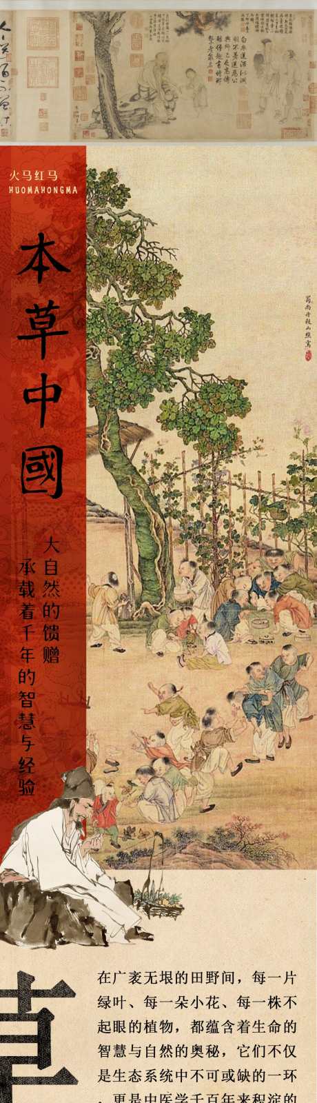 弘扬中医文化中药世家宣传公众号宣传_源文件下载_PSD格式_1080X15000像素-人参,灵芝,健康-作品编号:2025061114151094-源文件库-ywjfx.cn
