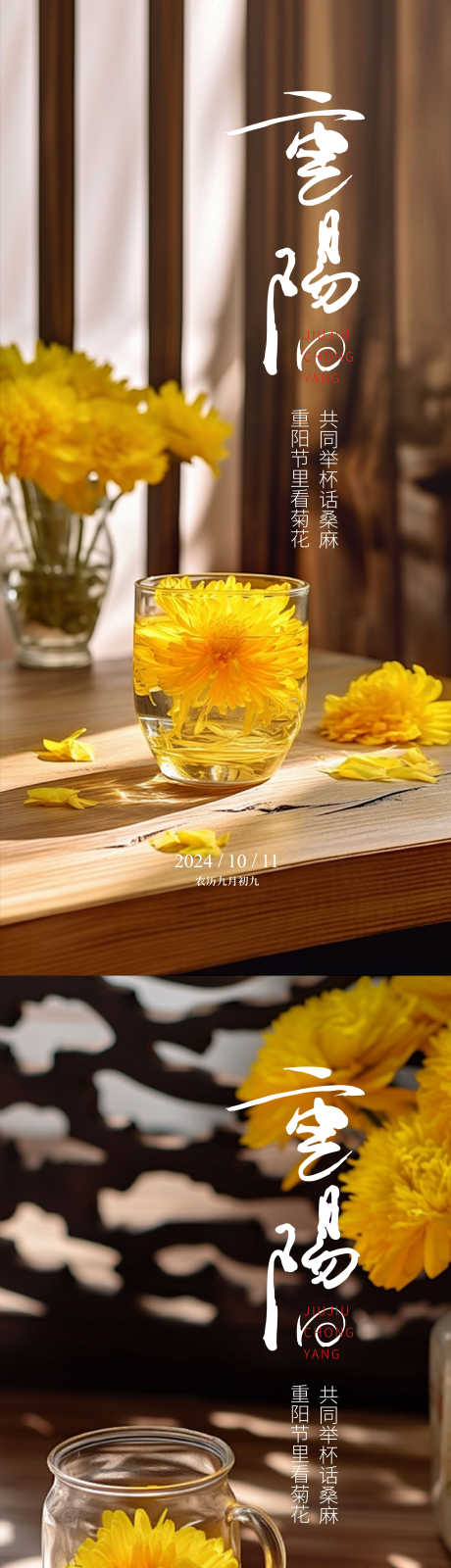 重阳节日海报_源文件下载_AI,PSD格式_2250X9692像素-阳光,菊花,节日-作品编号:2025061115188503-志设-zs9.com