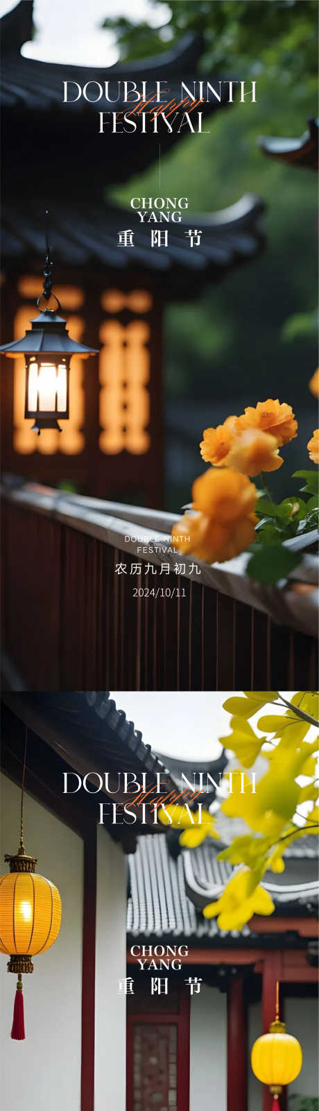 重阳节日海报_源文件下载_AI,PSD格式_2251X9743像素-创意,菊花,重阳节-作品编号:2025061115226037-设计素材-www.shejisc.cn