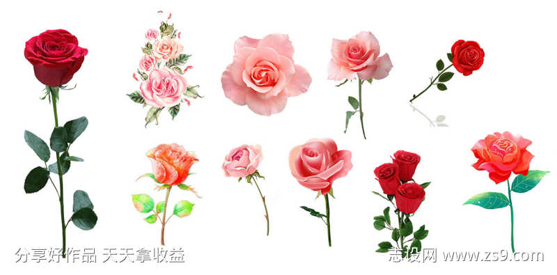 鲜花素材装饰