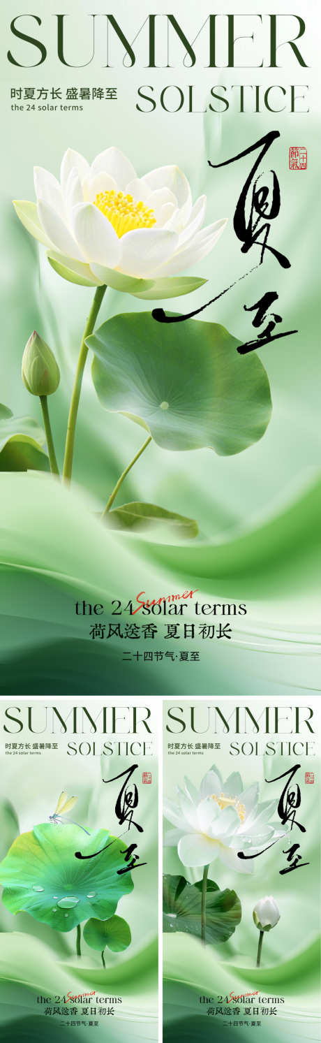 夏至节气海报_源文件下载_PSD格式_1500X4870像素-创意,蜻蜓,荷叶-作品编号:2025061208483499-志设-zs9.com