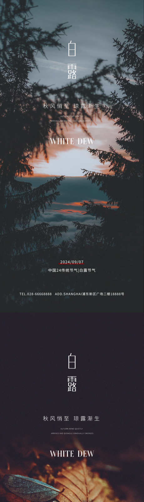 白露节气海报_源文件下载_AI,PSD格式_2250X9742像素-夜晚,意境,节气-作品编号:2025061215598878-志设-zs9.com