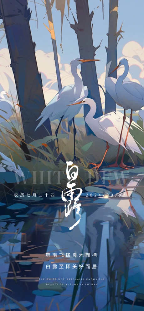 白露节气海报_源文件下载_AI,PSD格式_2250X4871像素-插画,节气,海报-作品编号:2025061216009201-志设-zs9.com