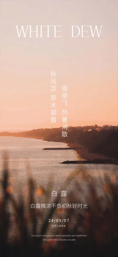 白露节气海报_源文件下载_AI,PSD格式_2250X4871像素-意境,夕阳,节气-作品编号:2025061216003271-志设-zs9.com