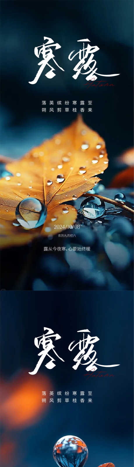 寒露节气海报