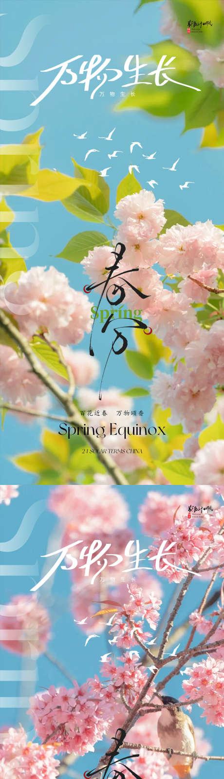 春分节气海报_源文件下载_PSD格式_1080X4676像素-春天,节气,海报-作品编号:2025061216177223-志设-zs9.com