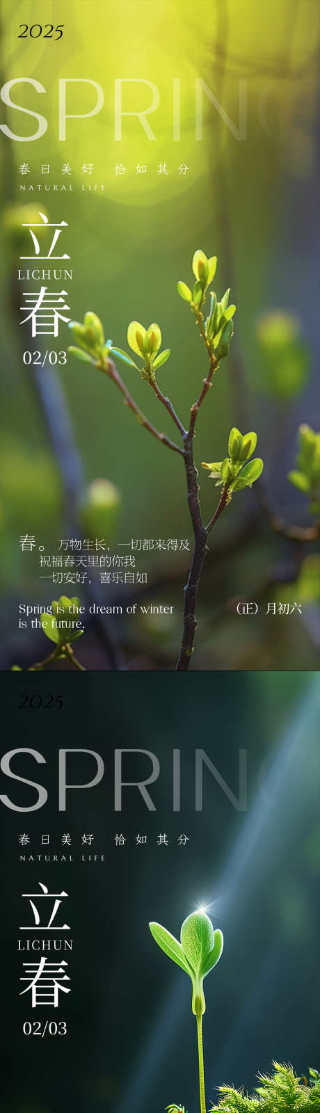 立春节气海报_源文件下载_PSD格式_1080X4600像素-绿色,创意,节气-作品编号:2025061308512850-志设-zs9.com