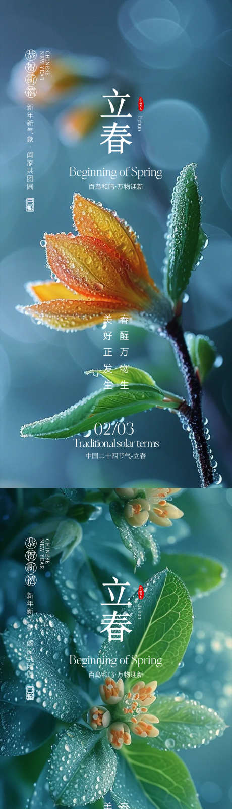 立春节气海报_源文件下载_PSD格式_1080X4600像素-植物,蓝色,节气-作品编号:2025061308438216-志设-zs9.com