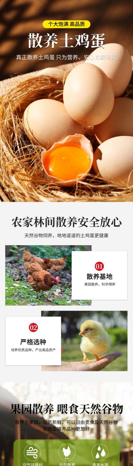 农家散养营养土鸡蛋详情页_源文件下载_PSD格式_790X10214像素-农产品,鸡蛋,走地鸡-作品编号:2025061309047734-志设-zs9.com