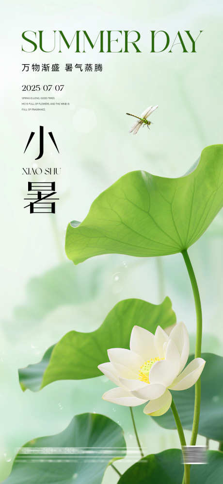 小暑节气简约海报_源文件下载_PSD格式_1181X2556像素-传统节气,绿色,蜻蜓-作品编号:2025061309304085-志设-zs9.com