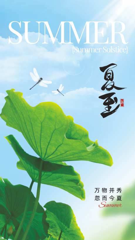 夏至二十四节气_源文件下载_CDR格式_4395X7814像素-夏天,日历,二十四节气-作品编号:2025061309493648-志设-zs9.com