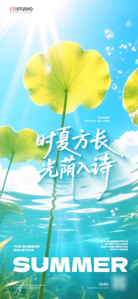 夏至节气宣传海报_源文件下载_PSD格式_1242X2688像素-简约,版式,荷叶-作品编号:2025061311589895-志设-zs9.com