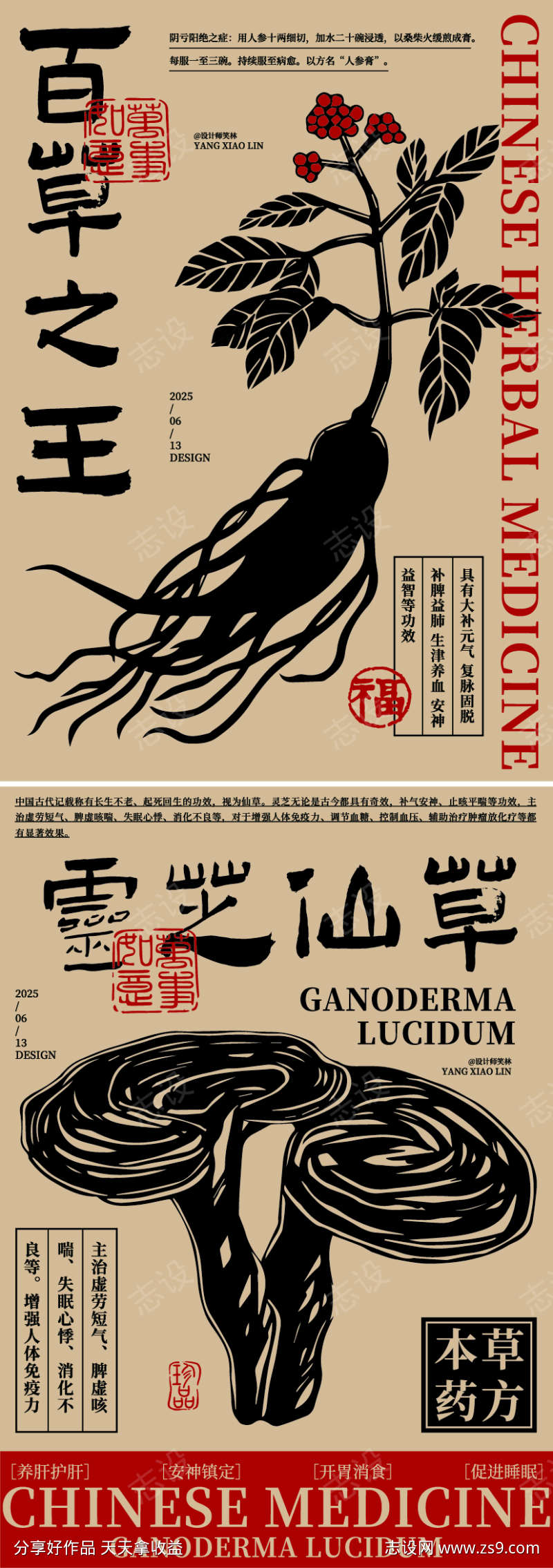 人参灵芝中草药手绘插画海报