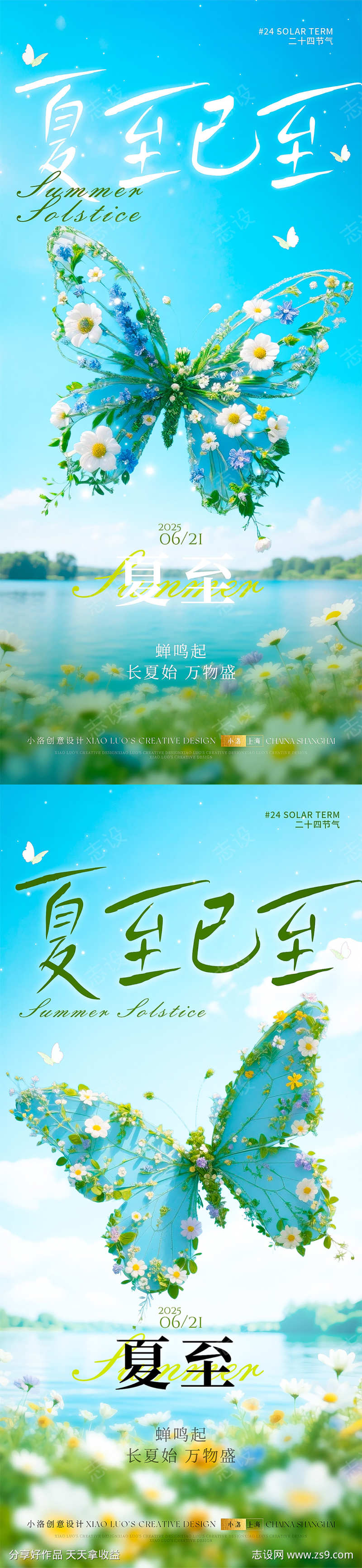 夏至节气海报