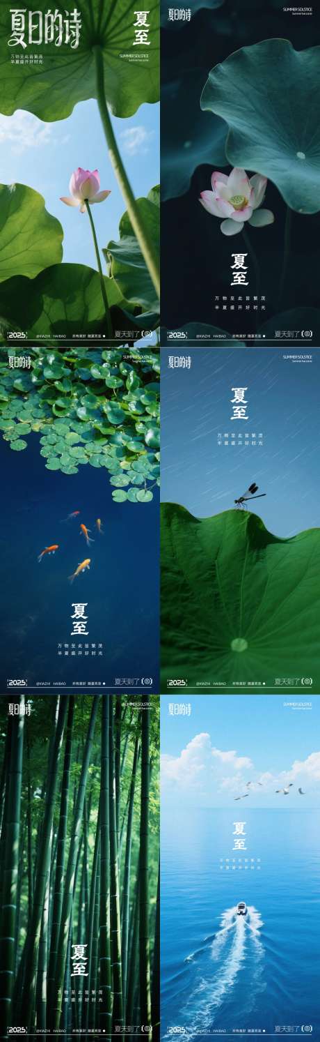 夏至节气写实摄影系列海报_源文件下载_PSD格式_1080X3508像素-海报,写实,摄影-作品编号:2025061315322439-志设-zs9.com