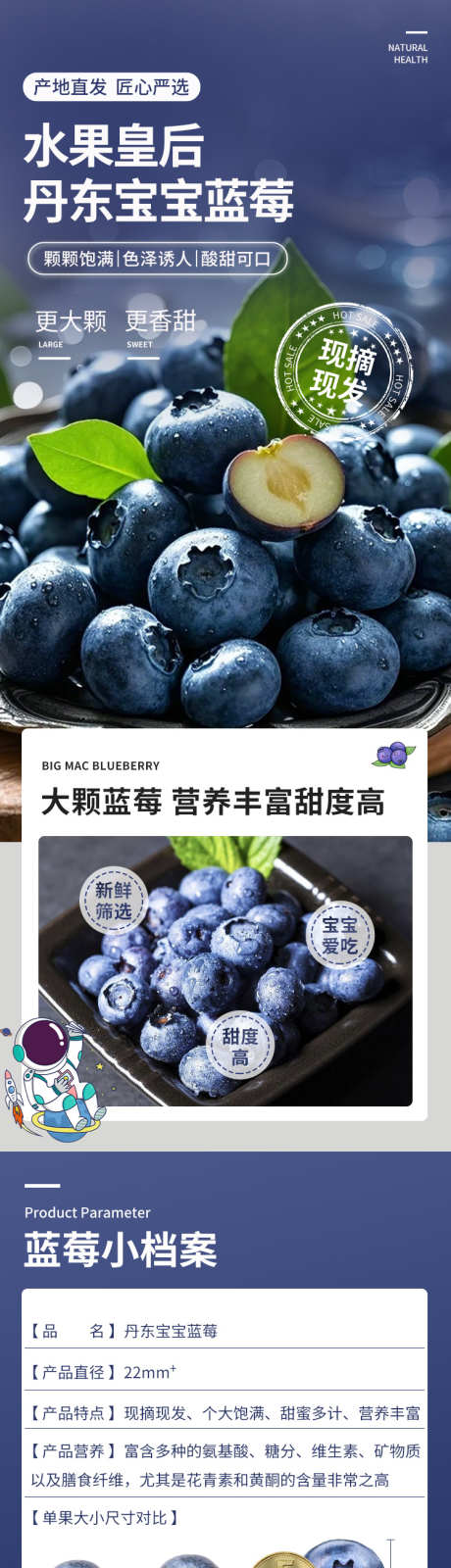 蓝莓详情页_源文件下载_PSD格式_750X11024像素-新鲜,绿色,纯天然-作品编号:2025061316518095-志设-zs9.com