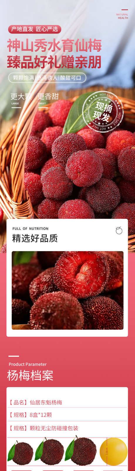 杨梅详情页_源文件下载_PSD格式_750X11674像素-礼品,新鲜,现摘-作品编号:2025061316554472-志设-zs9.com