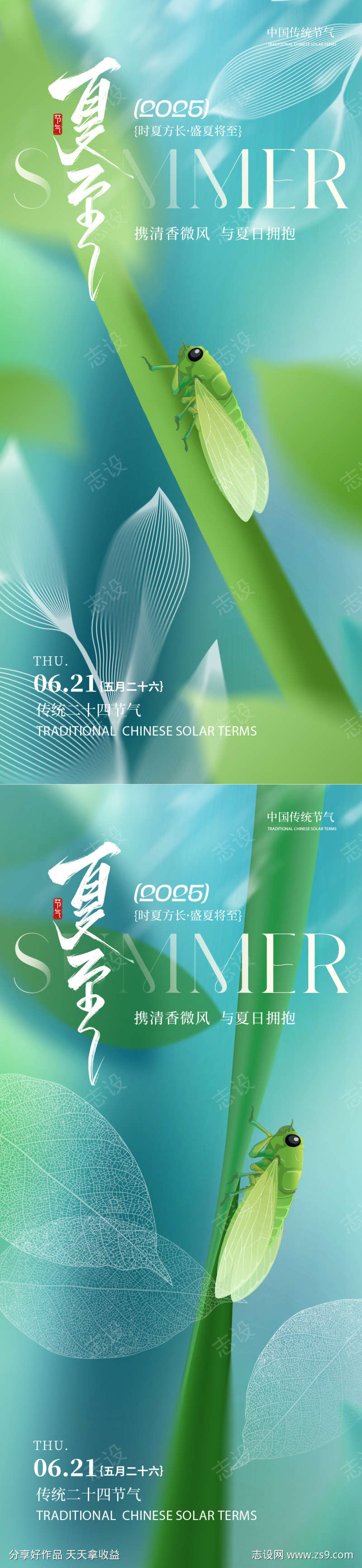 夏至节气蝉鸣系列海报