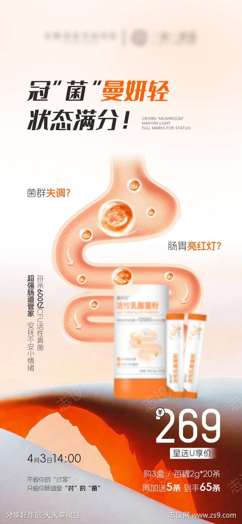 益生菌肠道产品价格海报