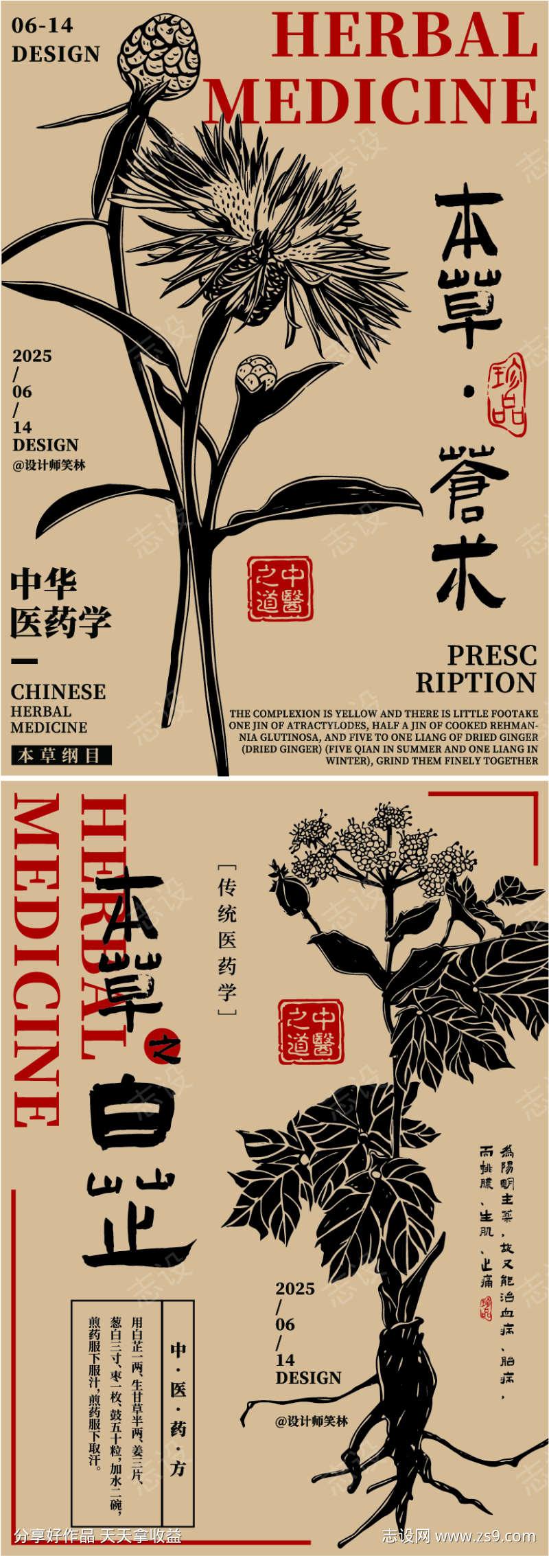 手绘插画中草药海报设计