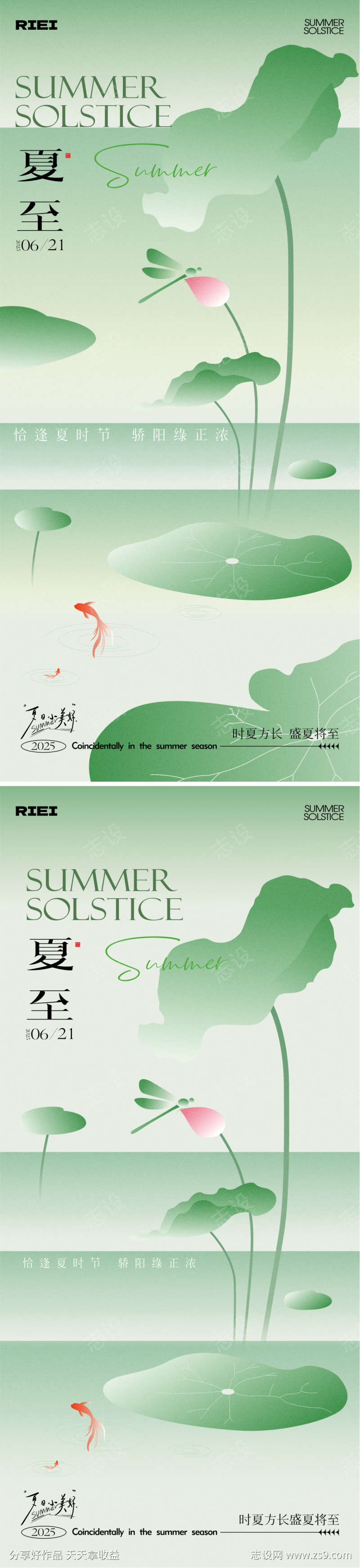 夏至节气海报