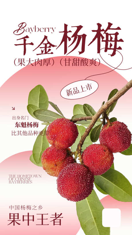 水果杨梅海报_源文件下载_PSD格式_1080X1920像素-海报,杨梅,电商-作品编号:2025061510299728-志设-zs9.com