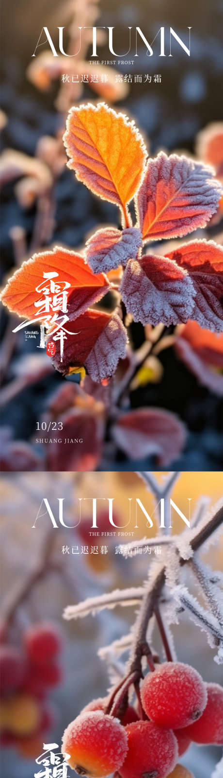 霜降节气海报_源文件下载_PSD格式_1080X4676像素-冬天,秋天,节气海报-作品编号:2025061511098598-志·设,网