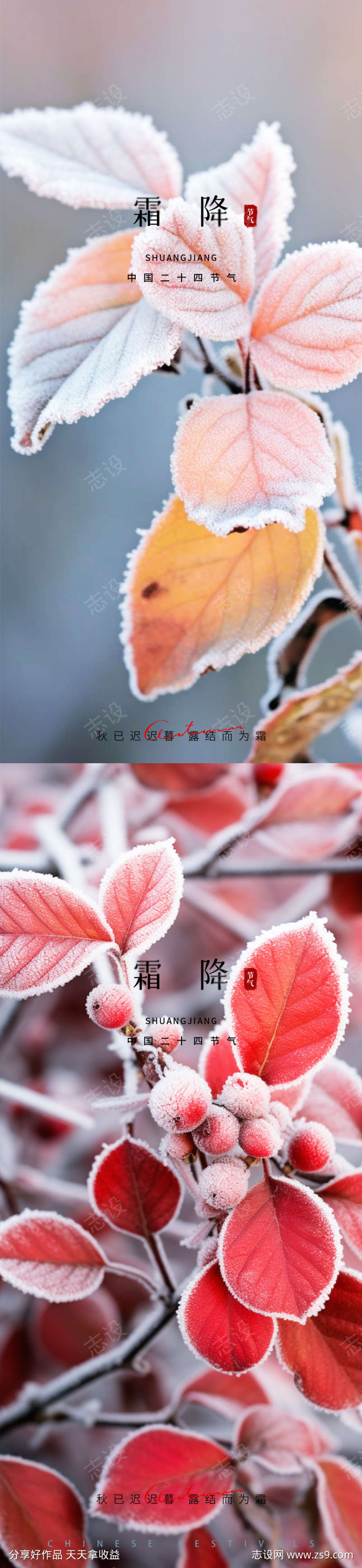 霜降节气海报
