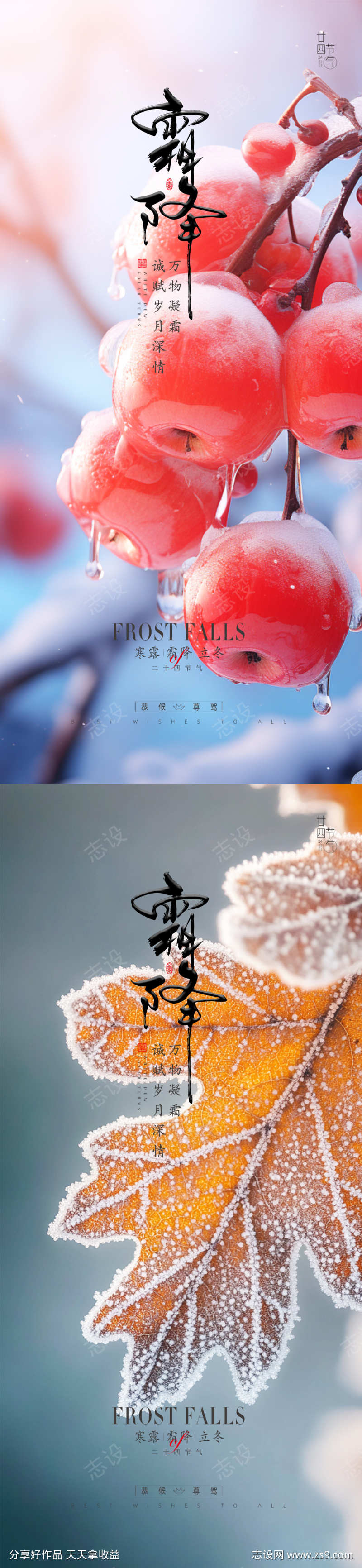 霜降节气海报